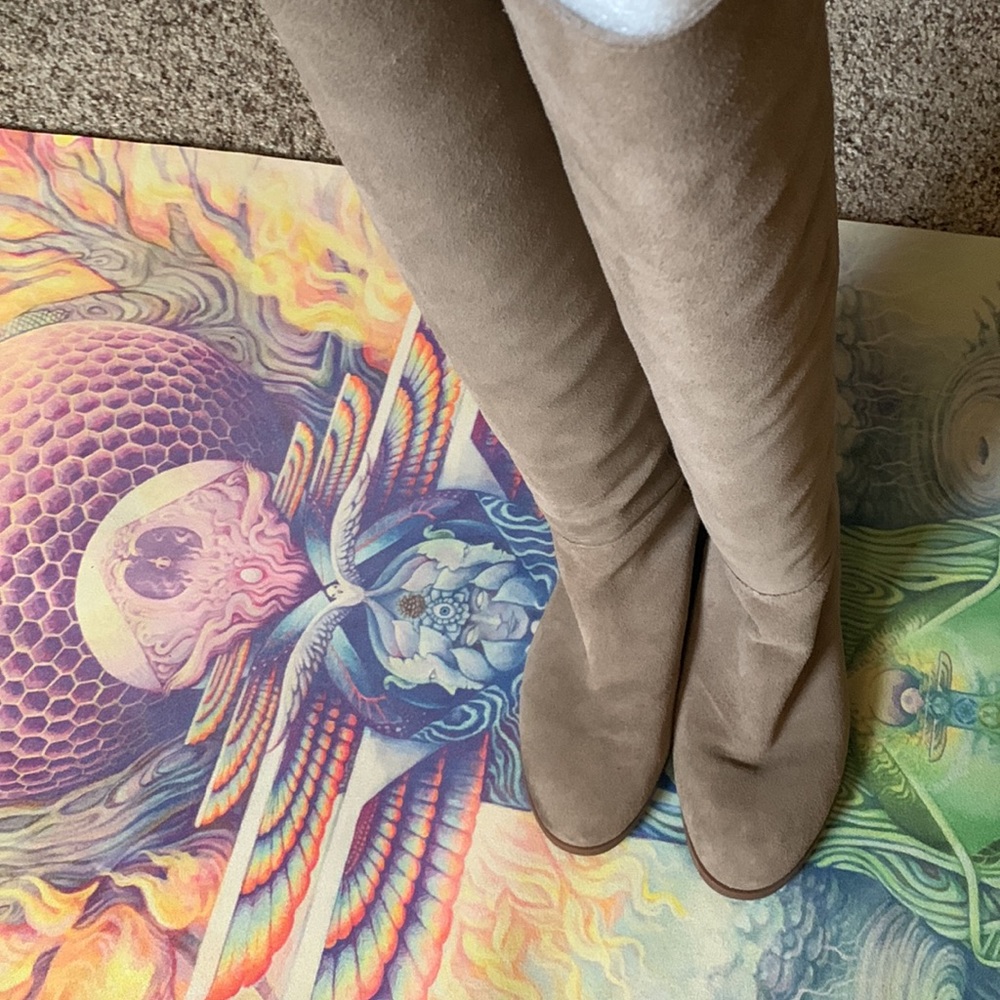 Tall taupe gray suede boots by SOLE/SOCIETY - Picture 2 of 7